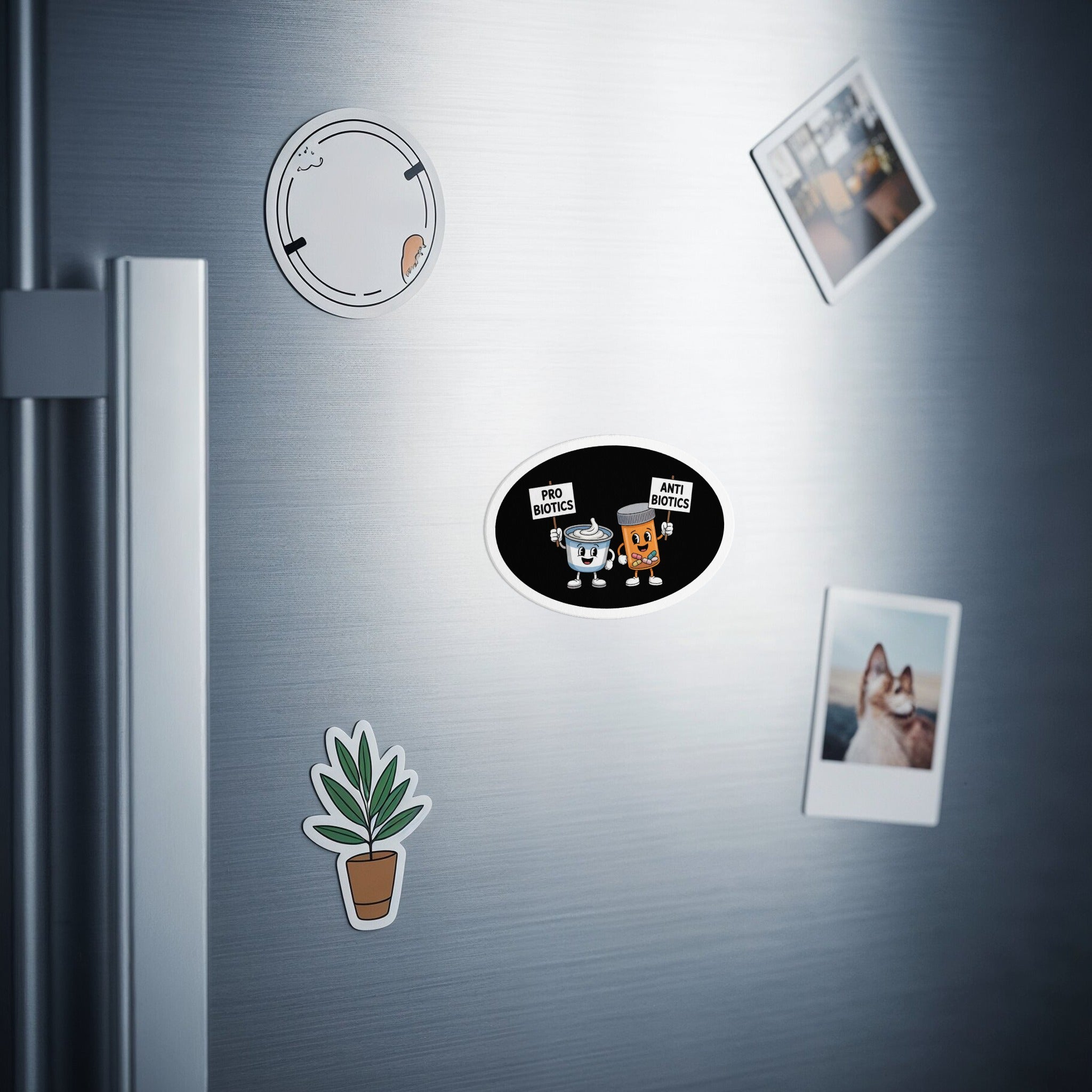 Ovals with cartoon probiotics and antibiotics holding signs on a refrigerator.