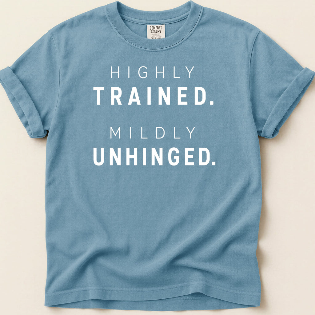 Blue t-shirt with "HIGHLY TRAINED. MILDLY UNHINGED." text.