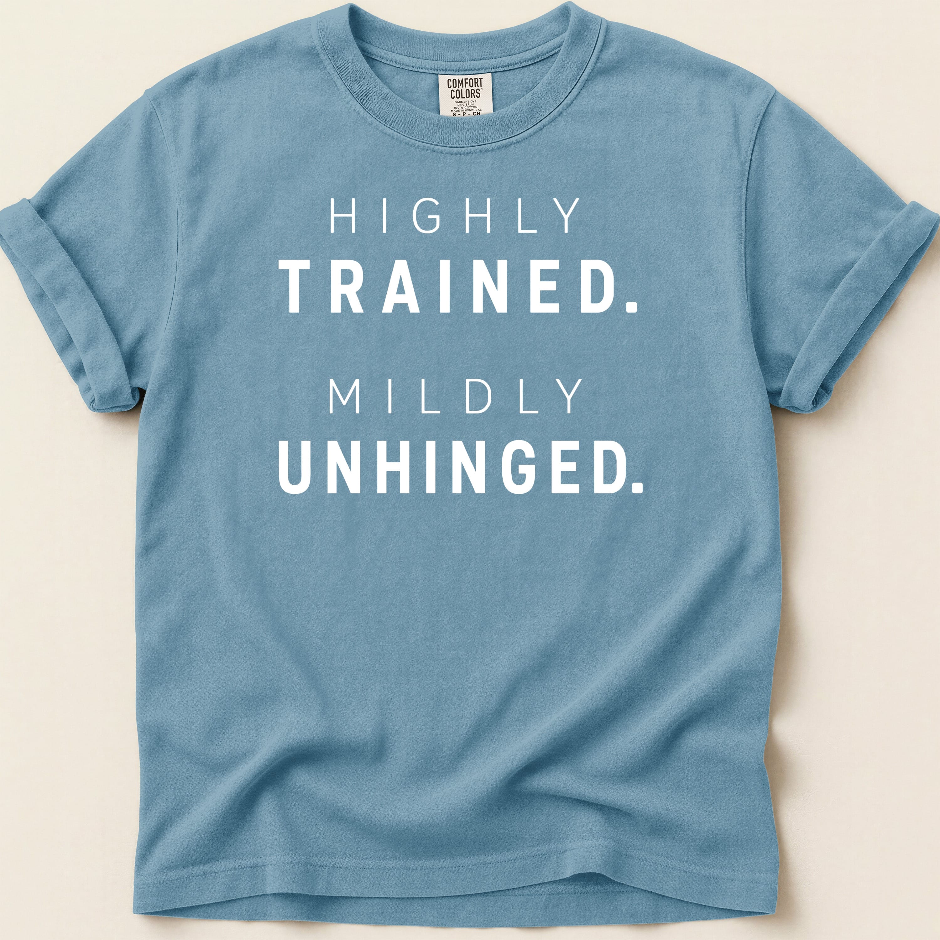 Blue t-shirt with "HIGHLY TRAINED. MILDLY UNHINGED." text.