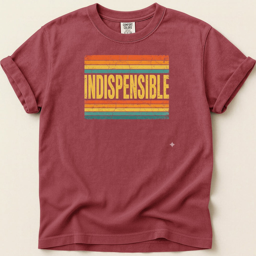 Maroon t-shirt with "INDISPENSABLE" text across retro colorful stripes.