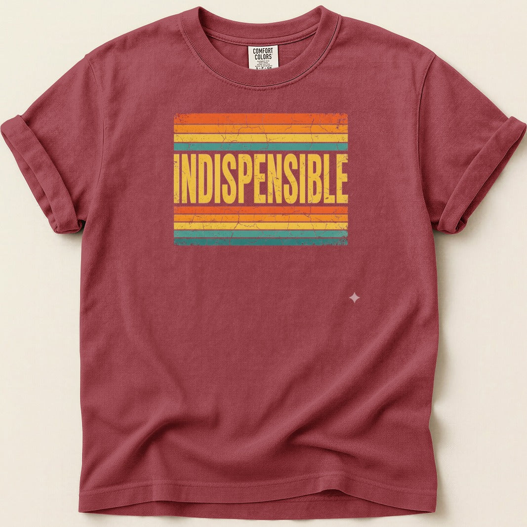 Maroon t-shirt with "INDISPENSABLE" text across retro colorful stripes.