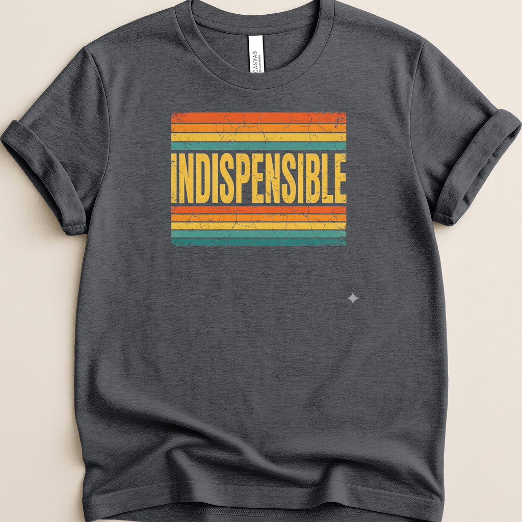 Dark grey t-shirt with distressed retro stripe design and "INDISPENSABLE" text.