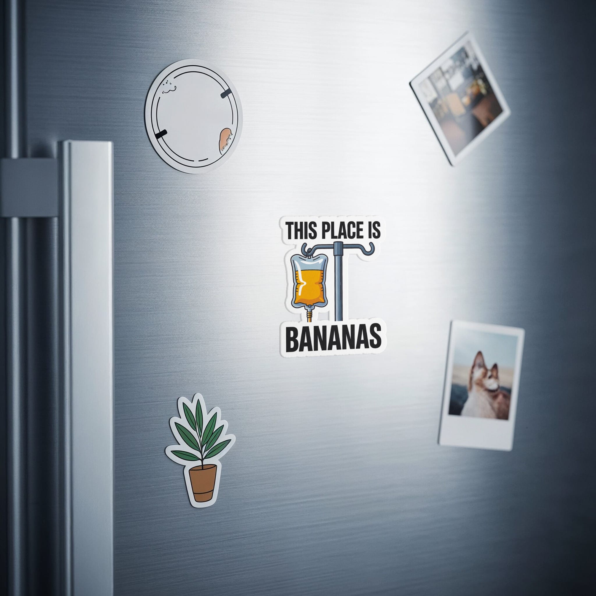 Sticker of IV bag labeled "THIS PLACE IS BANANAS" with plants and photos on a refrigerator.
