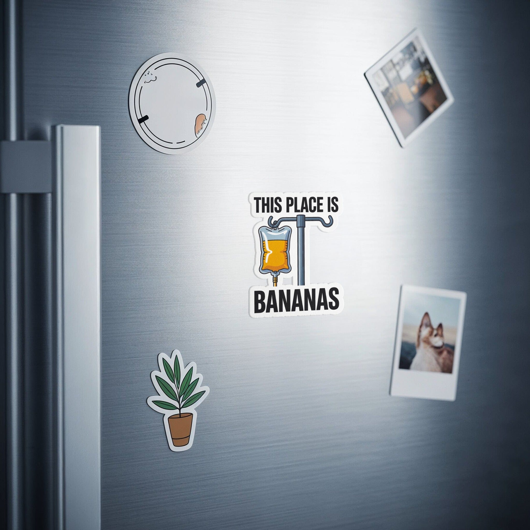 This Place Is Bananas Magnet Set Refrigerator product