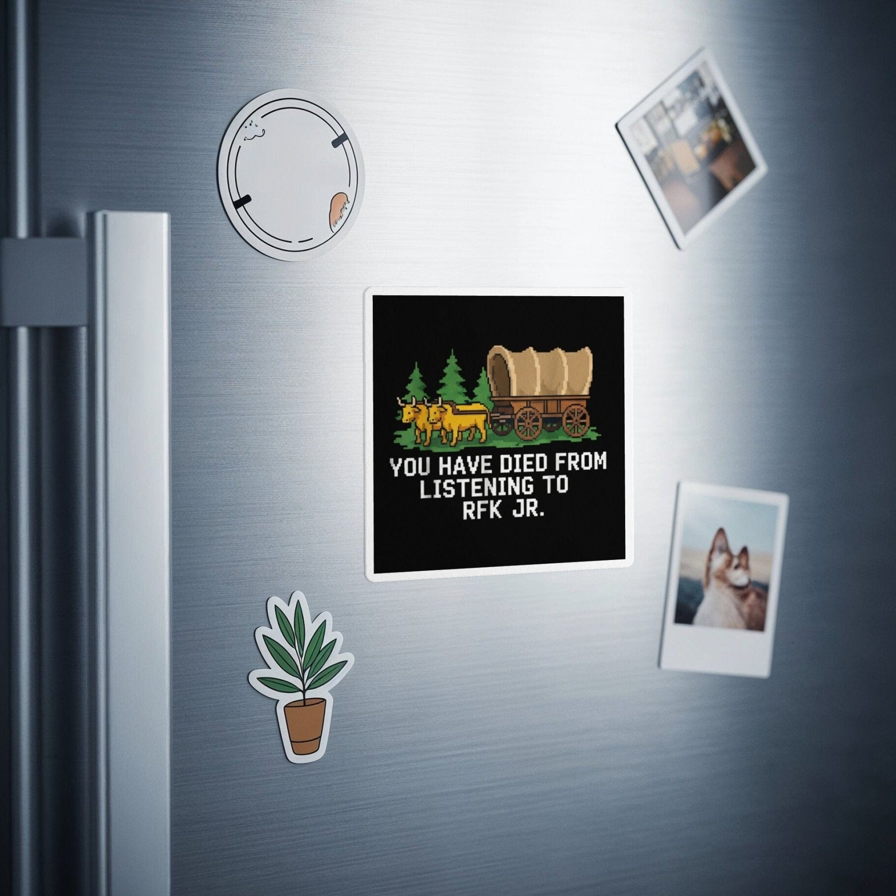 You Have Died from Listening to RFK Jr. Magnet - Adverse Reactions - Pharmacy Apparel for Pharmacists, Techs & Students