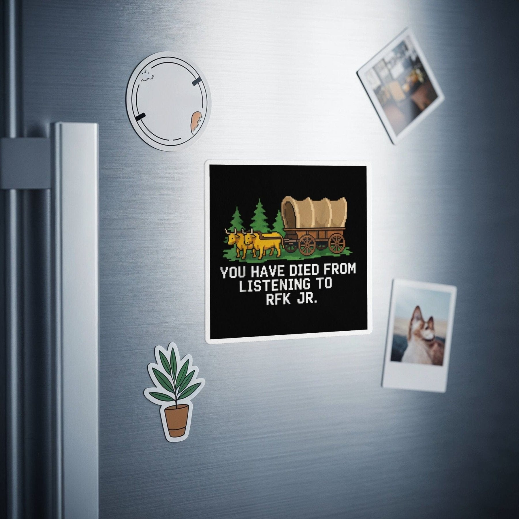 You Have Died from Listening to RFK Jr. Magnet - Adverse Reactions - Pharmacy Apparel for Pharmacists, Techs & Students