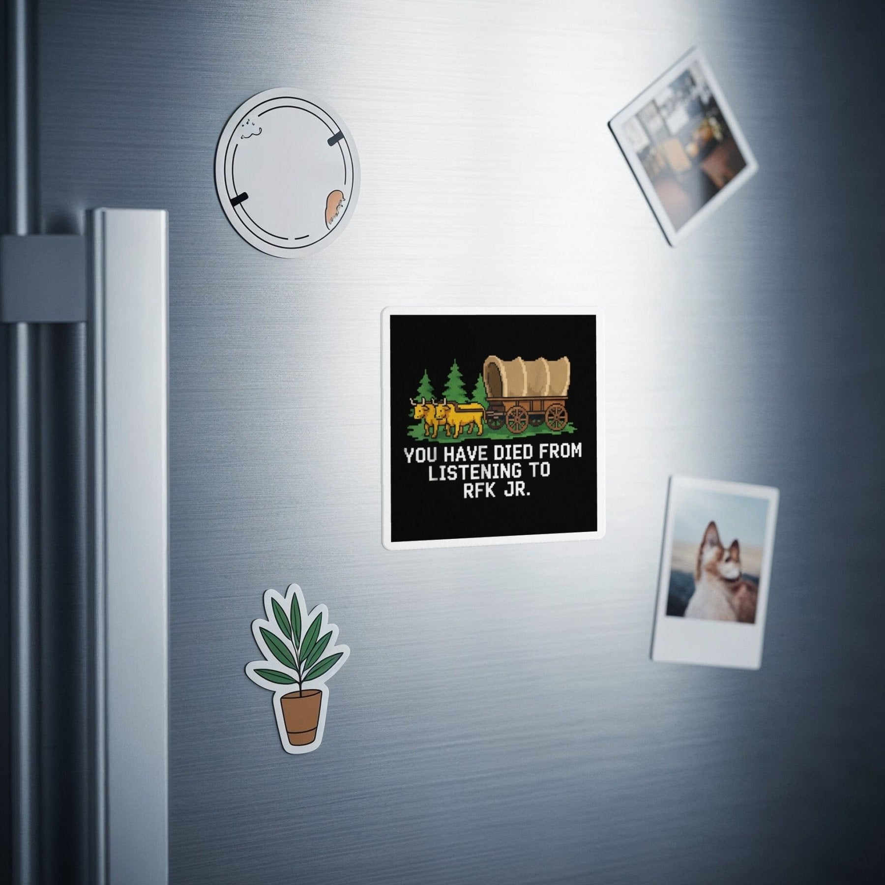 You Have Died from Listening to RFK Jr. Magnet - Adverse Reactions - Pharmacy Apparel for Pharmacists, Techs & Students